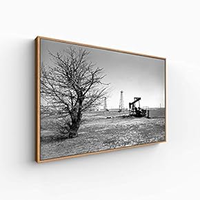 Canvas Wall Art for Living Room, Bedroom Monochrome Plants Framed Canvas Prints for Home Decoration Ready to Hang - 16x24 inches