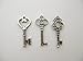 Salome Idea Skeleton Key Set in Antique Silver (30 Keys) 3 Different Styles - Vintage Style Key Replicas (Small Size, Silver Color)