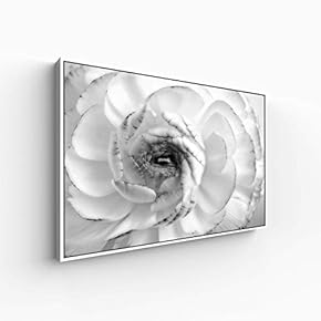Canvas Wall Art for Living Room, Bedroom Monochrome Plants Framed Canvas Prints for Home Decoration Ready to Hang - 16x24 inches