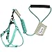 Pawaboo Dog Leash Harness Set, Durable Adjustable Heavy Duty No Pulling Dog Harness + Leash for Pet Dog Training Walking Running, Small Size, Lake Blue