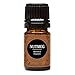 Edens Garden Nutmeg 5 ml 100% Pure Undiluted Therapeutic Grade GC/MS Certified Essential Oil