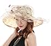 SAFERIN Women's Organza Church Kentucky Derby Fascinator Bridal Tea Party Wedding Hat