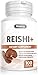 Reishi Mushroom Extract 500 mg 100 Capsules Organic - Healthy Immune, Cardiovascular & Brain Function Support - Energy & Mood Supplement - All Natural, Non-GMO, Gluten Free