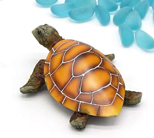 betta fish and turtles