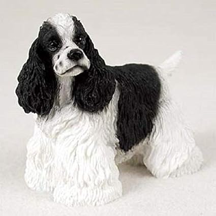 black and white show cocker spaniel