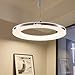 CHYING Pendant Light Modern LED Pendant Lighting 15W 3000K Contemporary Silver Circle Hanging Light Fixture for Kitchen Island Dining Room Bedroom Foyer
