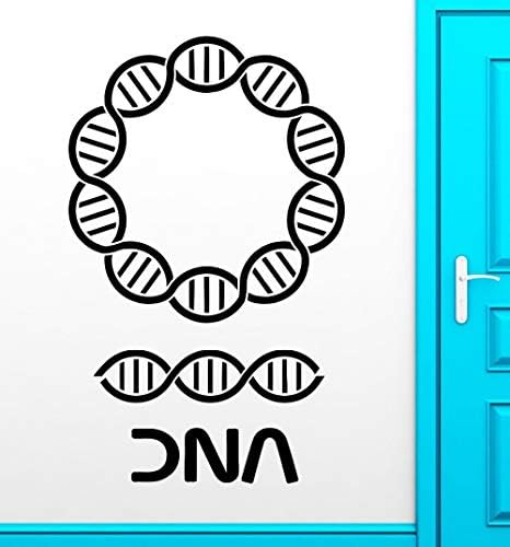 haotong11 DNA wall stickers Genealogy biology chemistry school science vinyl decal 56 * 88cm