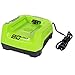 Greenworks PRO 80V Lithium Ion Single Port Rapid Battery Charger GCH8040 primary