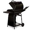 Char-Griller-E3001-Grillin-Pro-40800-BTU-Gas-Grill-Black