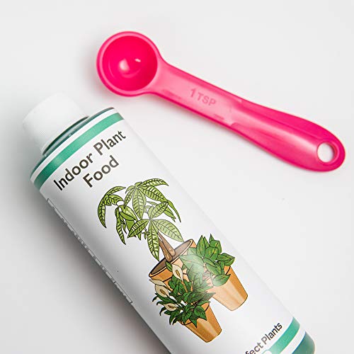 Perfect Plants Liquid Indoor Plant Food 8oz. of Concentrated All