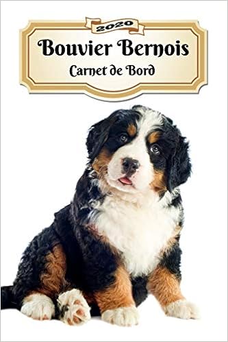 Amazon Fr 2020 Bouvier Bernois Carnet De Bord Chiot Ou Chien 139 Pages 12 Mois Format A5 Agenda Journalier Planificateur Semainier Simple Calendrier Organizer Xlpress Notebooks Journals Livres