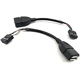 Duttek (2-Pack) 10CM USB 2.0 Type A Female to Dupont 9 Pin Female Header Motherboard Cable Cord (AF/9Pin 0.1M)