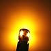 Alla Lighting 4x 194 LED Bulb Super Bright 175 168 2825 W5W T10 Wedge 5630 SMD Lights Replacement for Side Marker Interior Map Dome Trunk Parking Courtesy Lights, Amber Yellowthumb 3