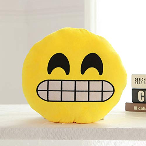 PinShang Throw Pillow for Office Home Decor Cute Stuffed Sunglasses
