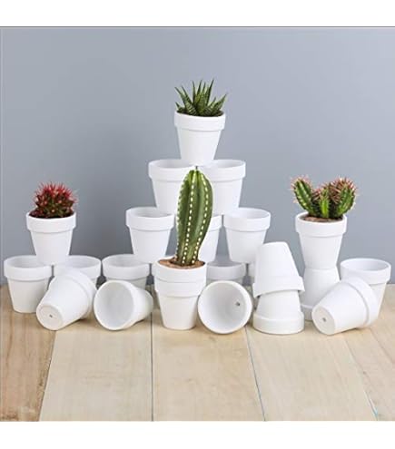 Amazon.com: Yishang 1.9 Inch Tiny White Terracotta Pots Pack of 72