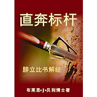 直奔标杆 (Hitting the Mark) (Chinese Edition) book cover