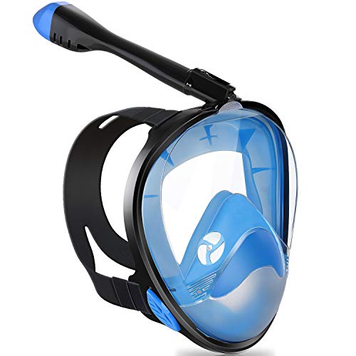 Top 10 Snorkels Full Face of 2020 No Place Called Home