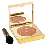 MagicMinerals Gold Edition by Jerome Alexander - Mineral Powder Compact with Mirror, Blending Sponge and Mini Stubby Brush - Foundation, Concealer and Corrector All-In-One - Dark