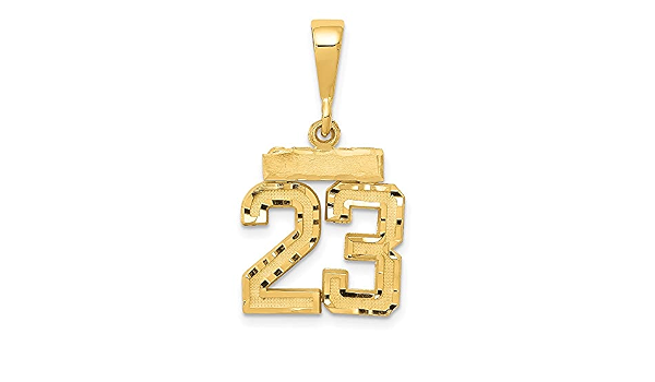 14k Yellow Gold Small Brushed Number 23 