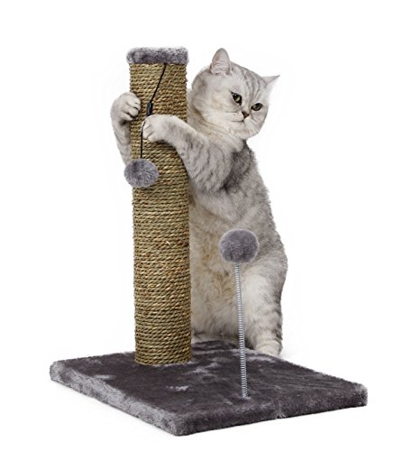 Cat Craft Sea Grass Scratching Post with Spring Toy, 20-Inch