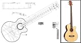 Plan of an Acoustic Bass - Full Scale Print