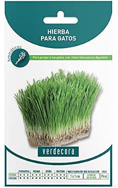 Amazon.es: verdecora