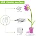 Small Desk lamp,YZtree Eye-Care Table Lamp for Kids Touch Control Dimming Light Flexible USB Rechargeable Desk Lamp with Cute Pen Container(Pink)