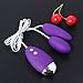 dingling372 Purple Strong Viberate Double Egg Bullet Toys for Couple
