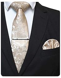 JEMYGINS Gold Paisley Tie Wedding Business Silk