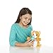 FurReal Friends Li'l Big Paws Peek-a-boo Daisy Pet