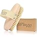 The Ultimate Dry Brush by YOOVE | Premium Dry Brushing Body Brush | Dry Brush for Cellulite and Lymphatic | 100% Natural Bristle Exfoliating Brush