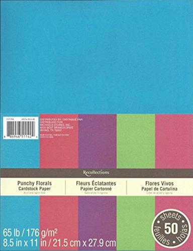 Recollections Cardstock Paper, 8 1/2" x 11" Punch Florals