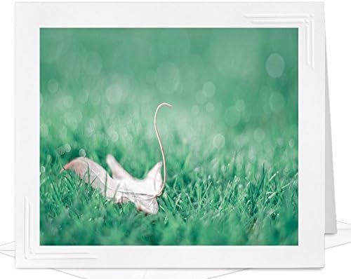 Nature Photography Greeting Card of Leaf in Grass - frameable metallic photo