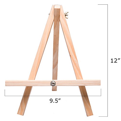 1 Tosnail+Natural+Tripod+Painting+Display