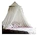 Jeweled Bling Princess Canopy By Sid (White)