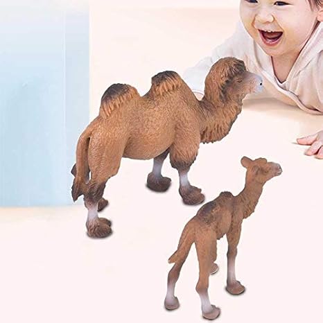 Zerodis 2 pcs Modelo Animal de Juguete, Miniatura Realista Ciencia plástico Modelo Animal Camello Figura simulación Camello Modelo Educativo Animal Juguete