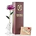 AWEHIRU cavebear Real Rose 24K Gold Rose Dipped Romantic Gifts for Women Wife Girls for Her Valentine's Day, Thanksgiving Day,Mother's Day,Anniversary and Any Love Moments of Life. (purle)