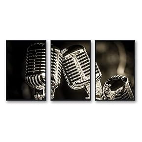 Framed Canvas Wall Art for Living Room, Bedroom Microphone Canvas Prints for Modern Home Decoration Ready to Hang - 16"x24"x3 Panels