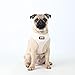 Puppia Authentic Puppia Gala Harness II A, Beige, Medium