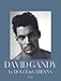 David Gandy by Dolce & Gabbana: The Male Icon