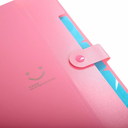 Classification Folders Portable File Folder Tabs Lateral File Folders Accordion File Jackets