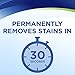 Bissell INSTAclean Pet Stain Remover, 1684
