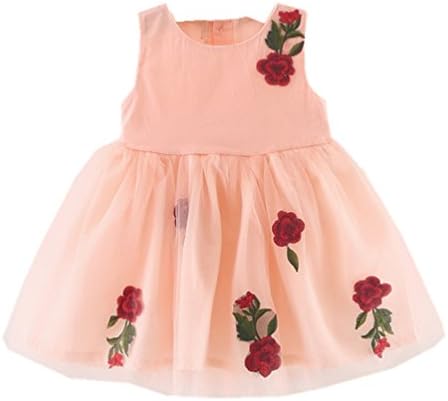 Baby Girl Princess Party Dress Flower Birthday Christening (1Years, Pink)