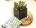 Small Faux Echeveria Succulent in Square Black Ceramic Planter - 4 x 5 Inches - Marmeda Decor Potted Artificial Plant in Black Matte Cube Vase - Global Modern Decor for Home or Office