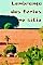 Livro Lembrança das férias no sítio