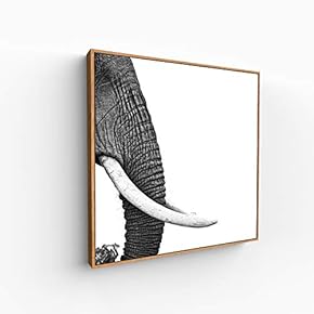 Canvas Wall Art for Living Room, Bedroom Portrait Framed Canvas Prints for Home Decoration Ready to Hang - 16x16 inches