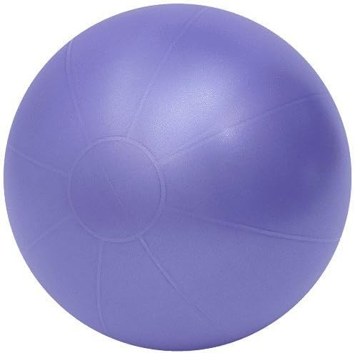 26 Anti-burst Swiss Pro Ball, Purple by TheraGear