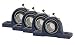 Jeremywell UCP205-16 Pillow Block Bearing Solid Base, 1", Self-Alignment, 1.5" Width, 2.736" Length, Cast Iron/Chromium Steel (Pack of 4)