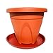 AROMA TREES 10 Pack(16 inch) Brown Plant Saucers Terra Cotta Flower Pot Tray Excellent for Indoor & Outdoor Plants with 10 Plant Tagsthumb 3