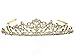 Flower Vine Design Bridal Tiara Crown - Clear Crystals Gold Plating T710